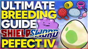 The ULTIMATE BREEDING GUIDE for Pokemon Sword & Shield! PERFECT IV Pokemon  and BEST Natures! - YouTube