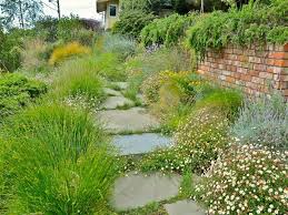 Losing Your Lawn Plant A Meadow