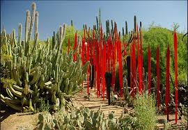 desert botanical garden provides