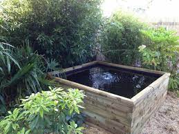 How To Build A Raised Pond Step By