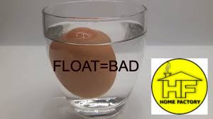 Eggs dropped in cold water that are less than one week old, will sink. Egg Water Test Good Or Bad Eggs How To Check Egg Is Good Or Bad Youtube