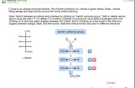 Then, you draw a cross, place the chiral center at the center of the cross, and arrange the. Organic Chemistry 332 Sapling Learning Ch 21 Flashcards Quizlet