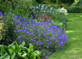 How To Plant A Mixed Border