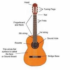 Easy to read wiring diagrams for guitars and basses with one humbucker or one single coil pickup. Classical Guitar Parts Diagram Normans News
