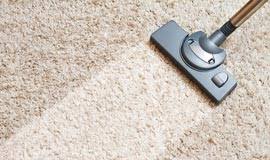 gainesville dreyer s carpet care