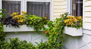 Flower boxes and window box planters are great for gardening in small spaces! How To Choose Window Planter Boxes Residence Style