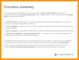 Project Executive Status Report Template Presentation Free Sample