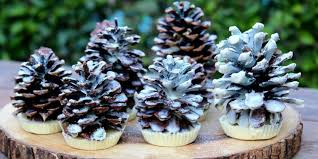 Diy All Natural Pine Cone Fire Starters