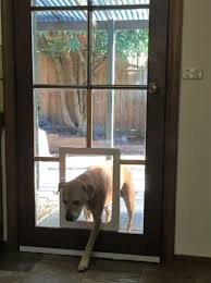 Dog Door Aussie Pet Doors