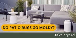 do patio rugs go moldy plus cleaning