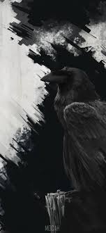 272005 raven crow bird rook