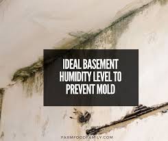 Ideal Basement Humidity Level