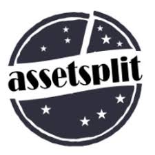 Результаты изображения для AssetSplit ico