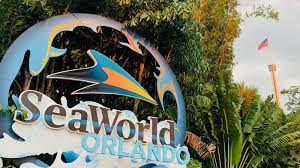 Check spelling or type a new query. Seaworld And Busch Gardens Tampa Bay Return To Full Capacity