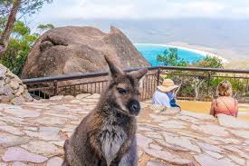 Freycinet Np Full Day Tour From Hobart