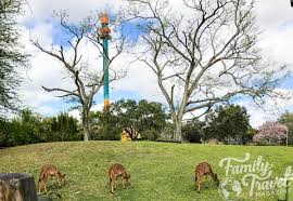 busch gardens ta tips family