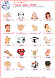 Live worksheets > english > english as a second language (esl) > parts of the body. Body Parts Esl Vocabulary Worksheets