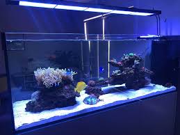 Illumagic Blaze X 150 5 Ft Led Aquarium Lighting Led Uniquecorals
