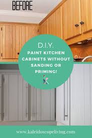 I painted them with a kit as a trial run for the kitchen, and then promptly moved on to other projects (as i tend to do). How To Paint Kitchen Cabinets Without Sanding Or Priming Step By Step In 2020 Painting Kitchen Cabinets Kitchen Paint Kitchen Cabinets