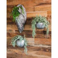 Evergreen Silver Metal Wall Planters