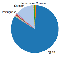 File Pie Chart Of Languages In The United States 01 Png
