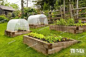 raised vegetable and herb garden beds