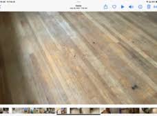 greg s floor sanding barnet vt 05821