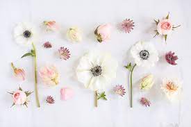 Floral wallpaper desktop ...