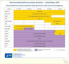 2018 U S Adult Immunization Schedule