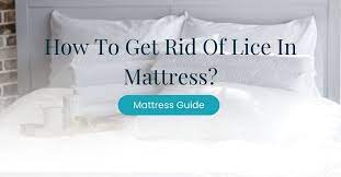 How To Get Rid Of Lice On A Mattress