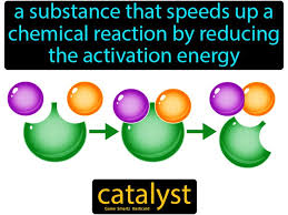 catalyst easy science