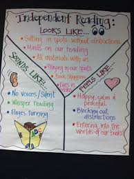 Students Established Expectations For Independent Reading