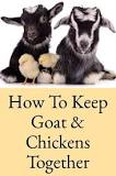 can-goats-eat-chicken-feed