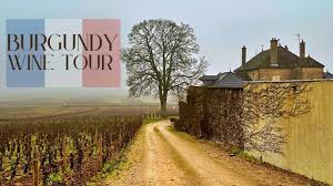 burgundy france wine tour best pinot