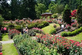 Beautiful Portland Japanese Garden