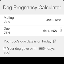 dog pregnancy calculator
