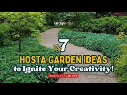 Top 7 Hosta Garden Ideas To Ignite Your