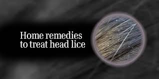 home remes for lice treatment
