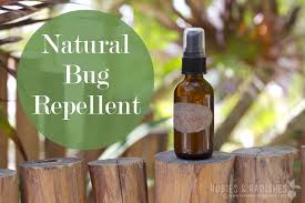 diy bug spray natural bug repellent