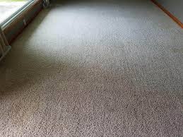 carpet cleaning boca raton carpet