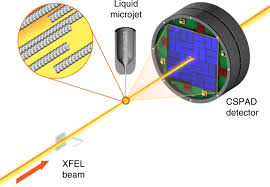 We did not find results for: Coherent Diffractive Imaging Of Microtubules Using An X Ray Laser Nature Communications