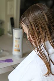 Why do the hair dyes kill lice but they don't finish them off? How To Get Rid Of Lice With Tea Tree Oil Instead Of Insecticide The Frugal Girl