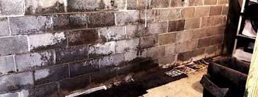 how to seal cinder block walls radonseal