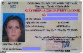 vietnamese driving license everything