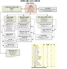 Organization Chart Public Procurement Monitoring Office