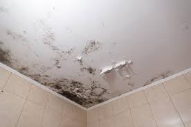 Best Paint For Steamy Bathroom Ceiling