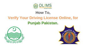driving license issued in punjab stan