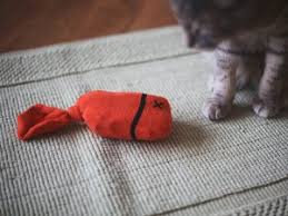 the 10 best homemade cat toys your cat