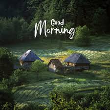 67 village good morning nature images