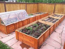 a raised bed garden with cold frame and